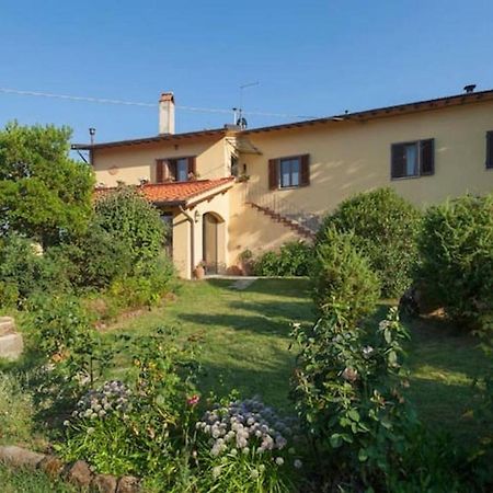 Villa Porcigliano Olive Grove Polcanto Εξωτερικό φωτογραφία
