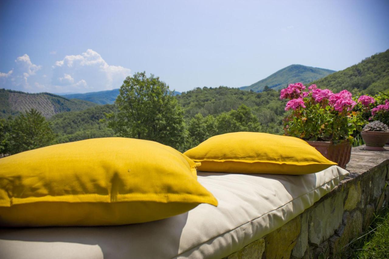Villa Porcigliano Olive Grove Polcanto Εξωτερικό φωτογραφία