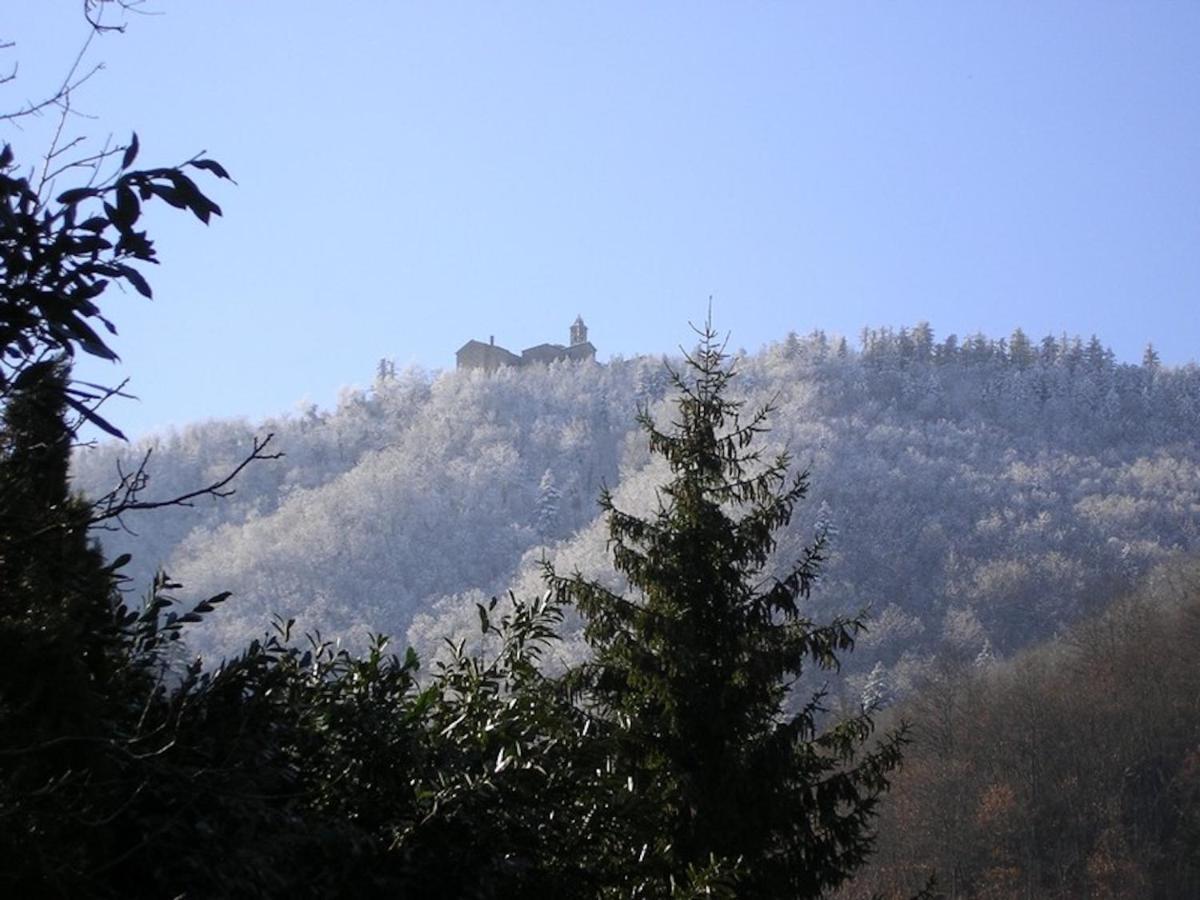 Villa Porcigliano Olive Grove Polcanto Εξωτερικό φωτογραφία