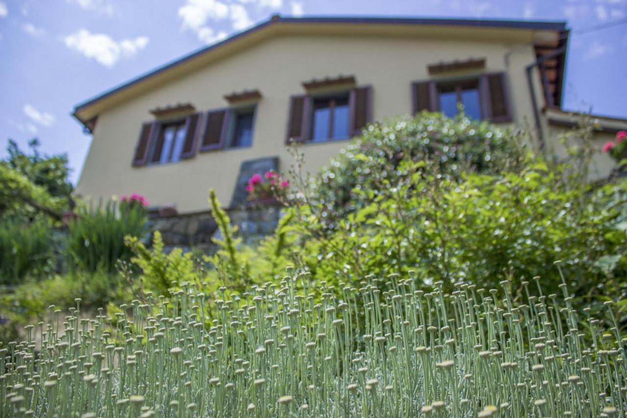 Villa Porcigliano Olive Grove Polcanto Εξωτερικό φωτογραφία