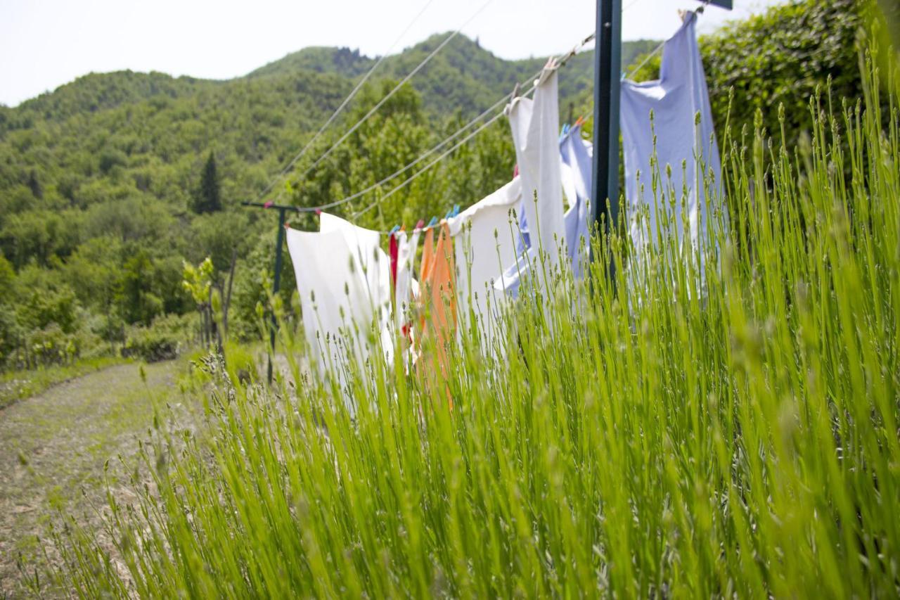 Villa Porcigliano Olive Grove Polcanto Εξωτερικό φωτογραφία