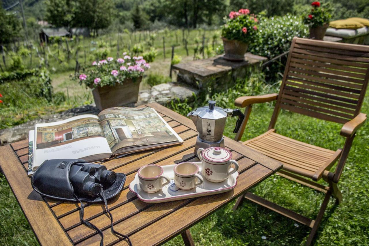 Villa Porcigliano Olive Grove Polcanto Εξωτερικό φωτογραφία