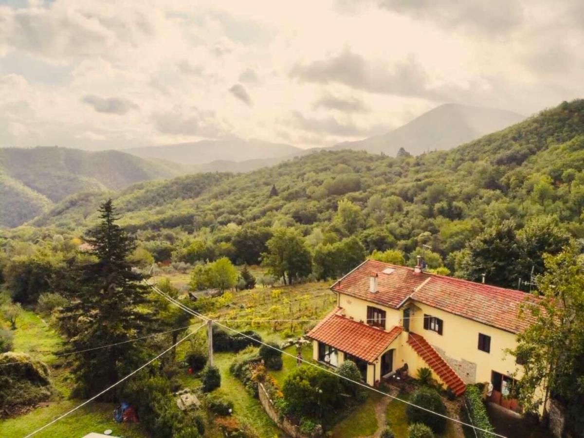 Villa Porcigliano Olive Grove Polcanto Εξωτερικό φωτογραφία