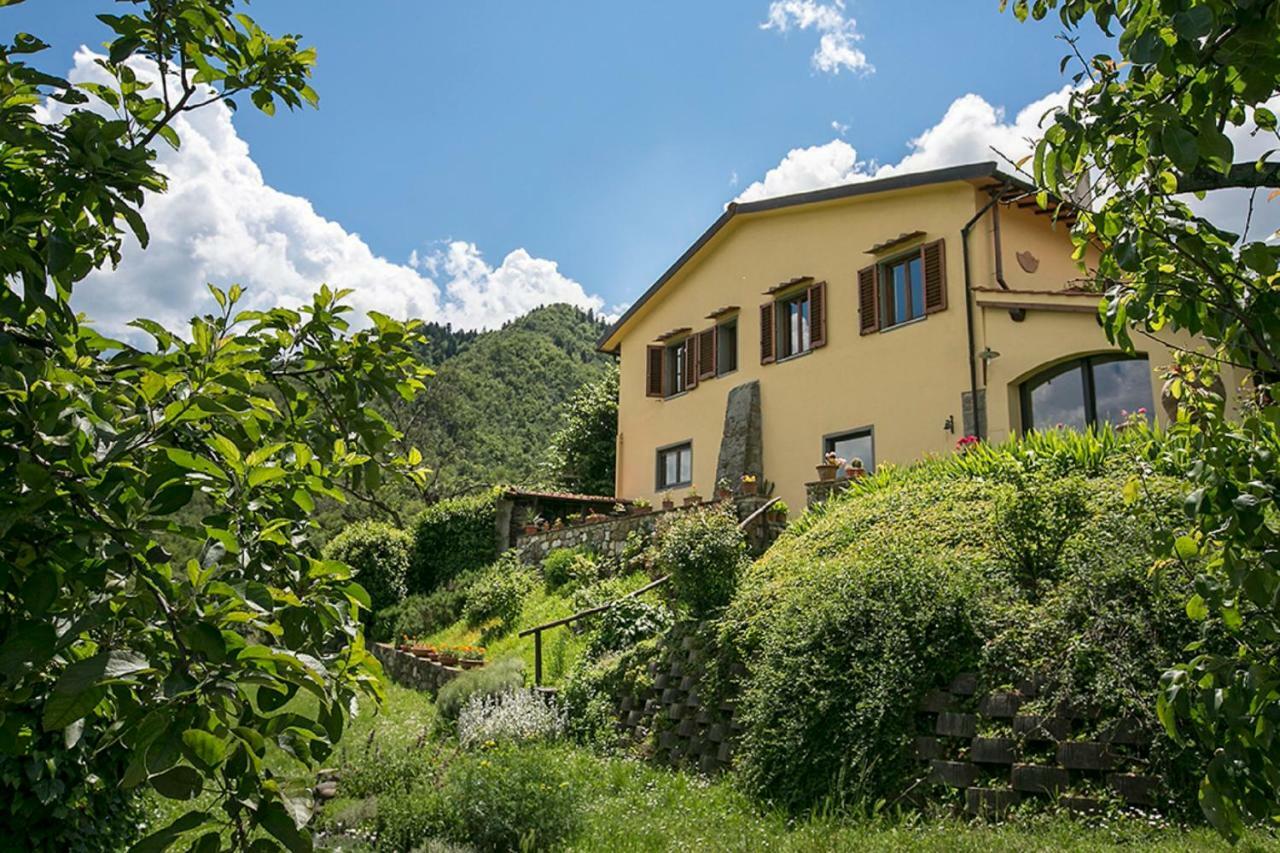 Villa Porcigliano Olive Grove Polcanto Εξωτερικό φωτογραφία